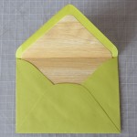 The finished envelope liner